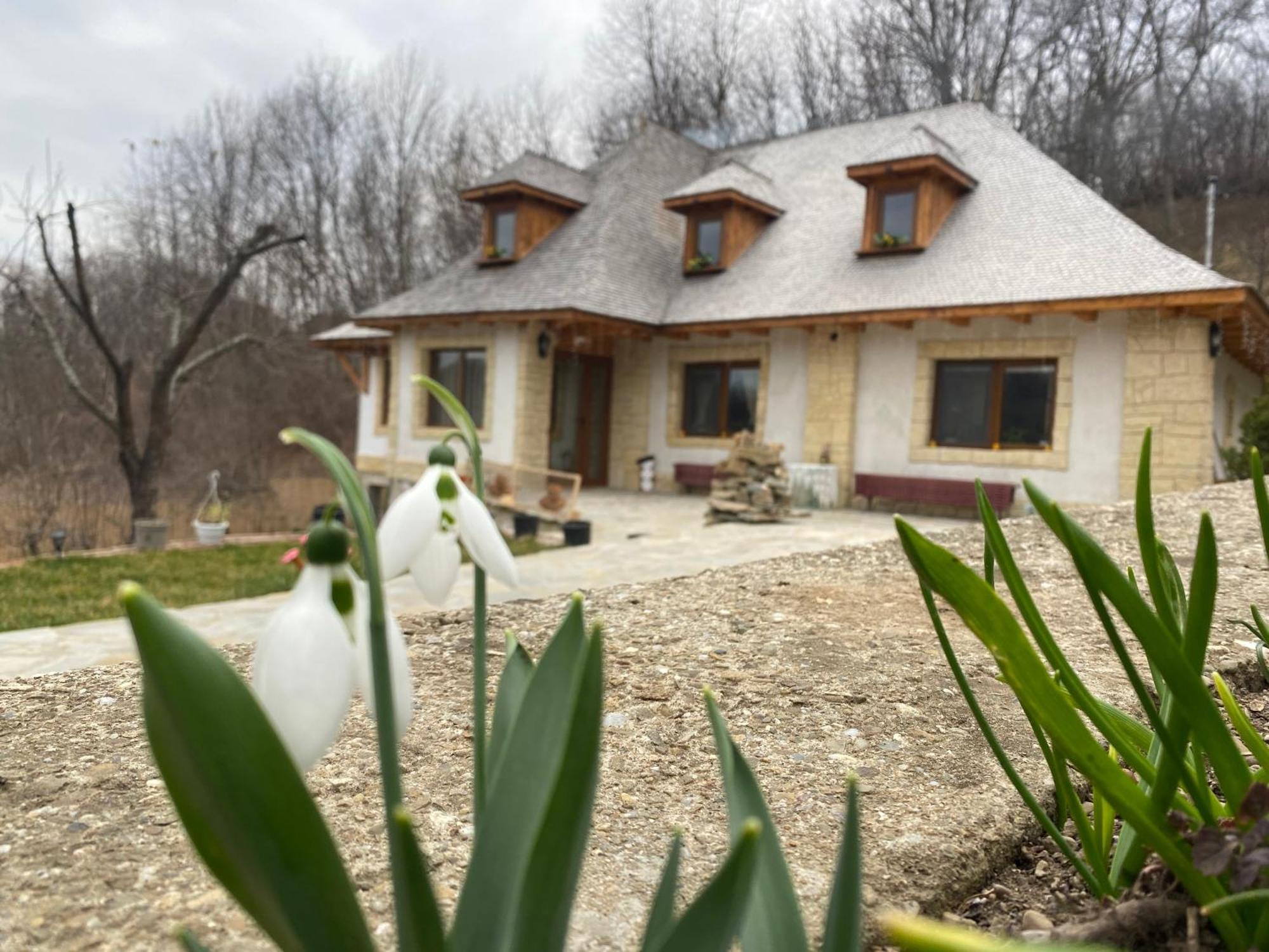 Casa Cu Sindrila Villa Valenii de Munte Luaran gambar