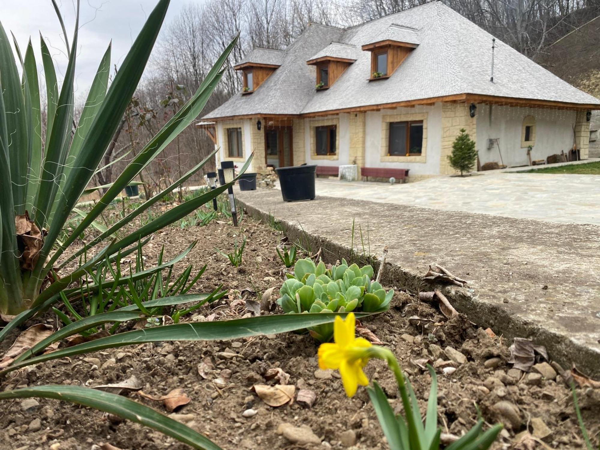 Casa Cu Sindrila Villa Valenii de Munte Luaran gambar