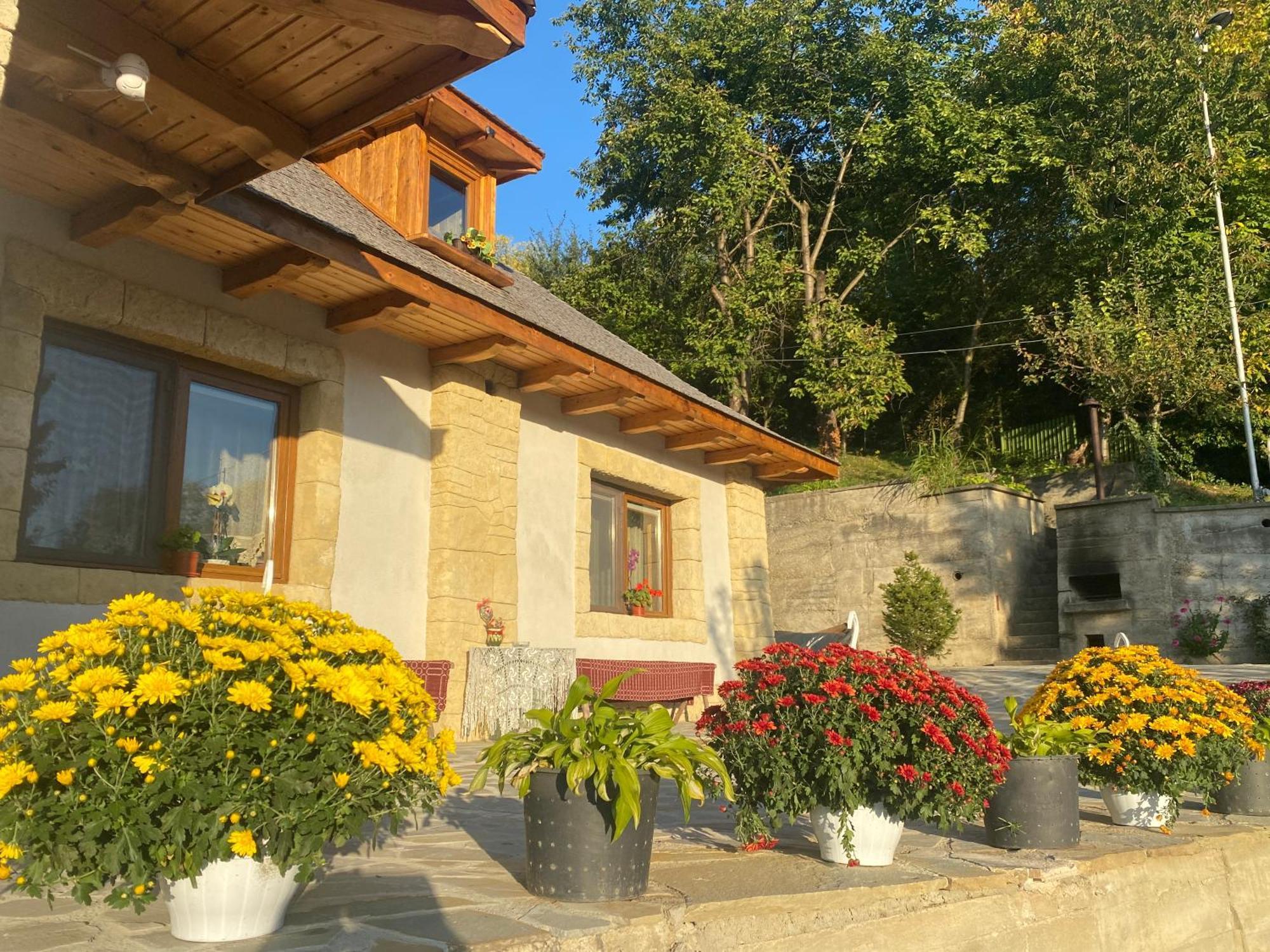 Casa Cu Sindrila Villa Valenii de Munte Luaran gambar