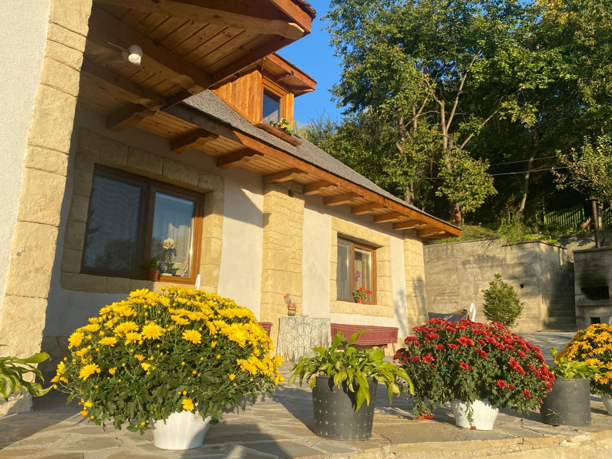 Casa Cu Sindrila Villa Valenii de Munte Luaran gambar